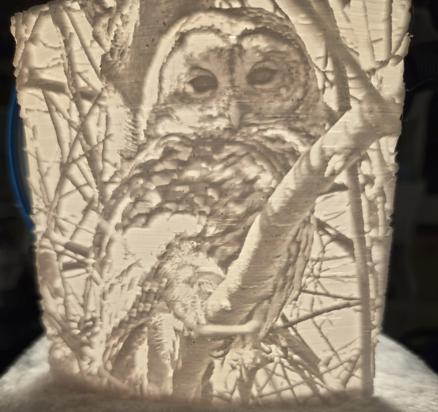 Lithophane Owl Nestled in Tree Night Light