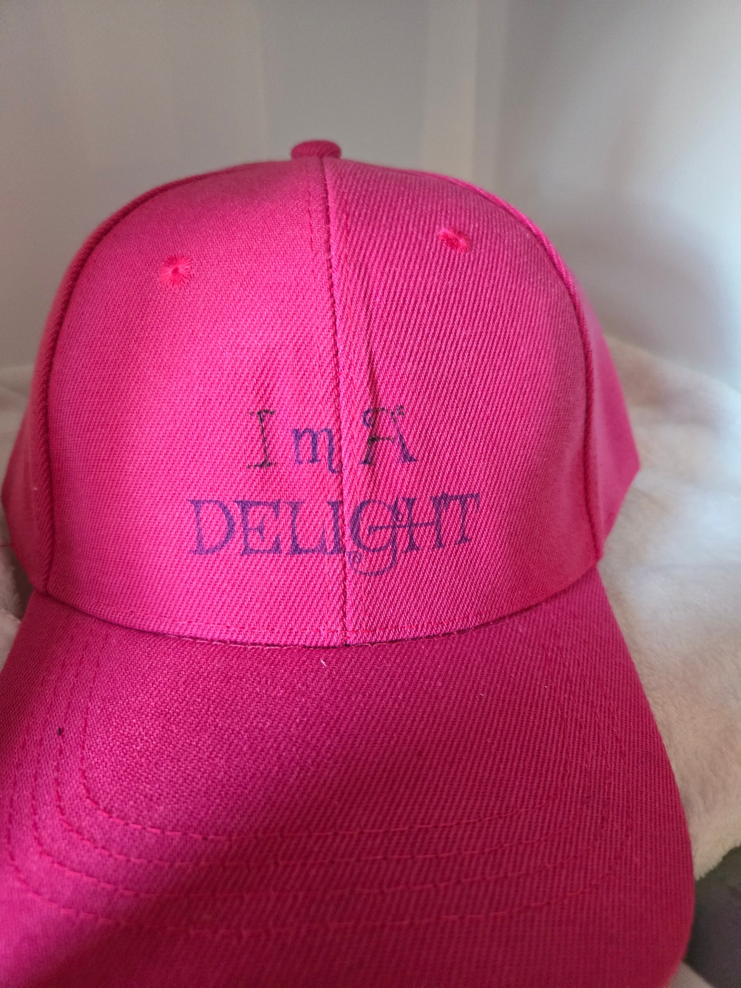 Ball Cap I'm a delight