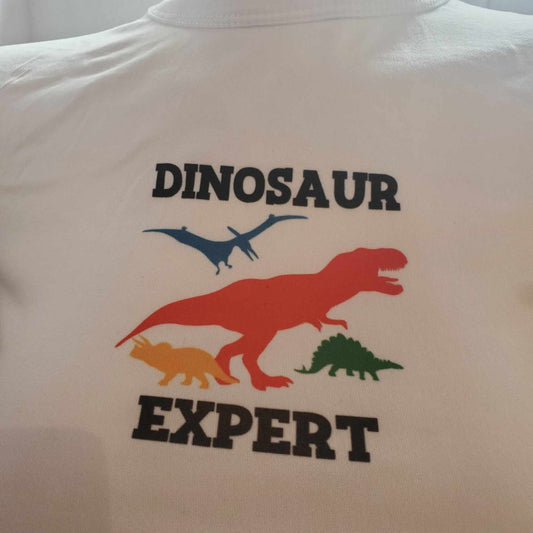 T shirt Dino Expert
