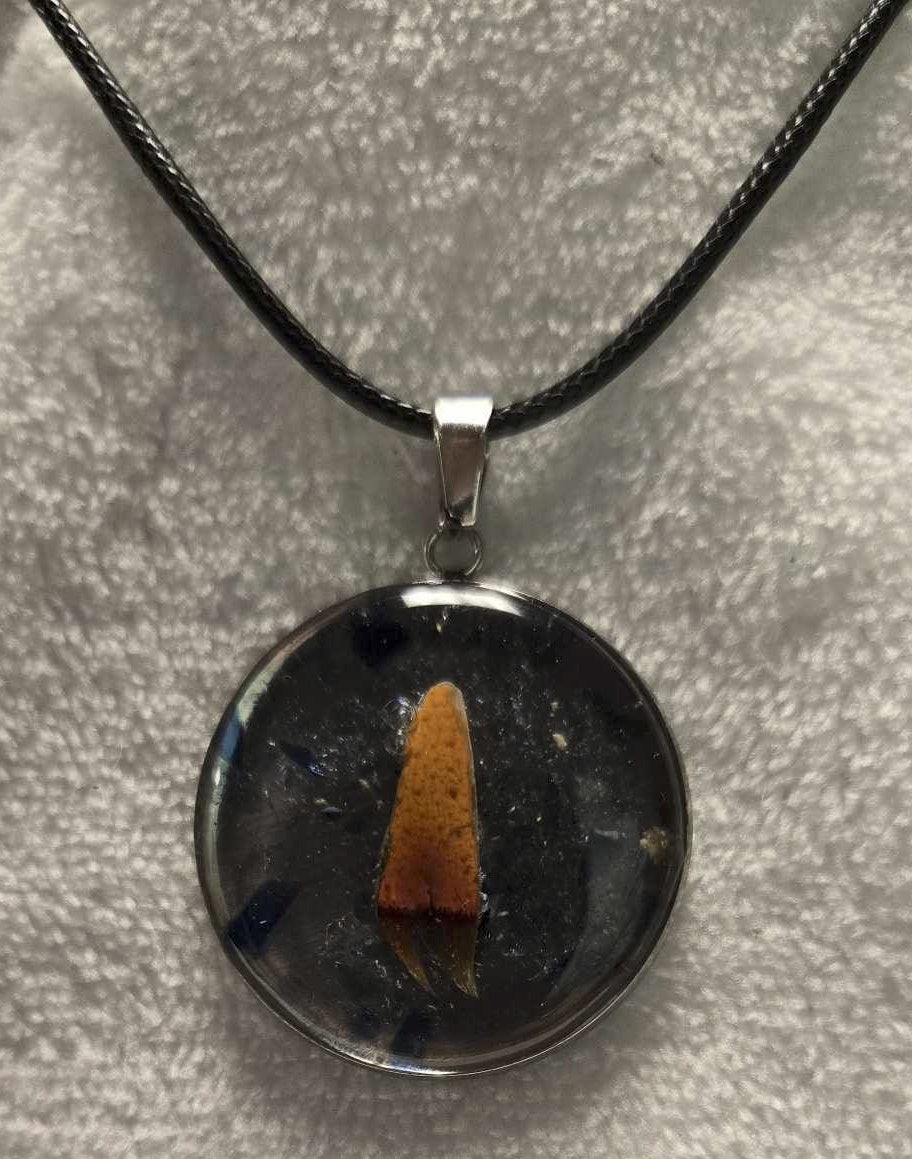 Lobster V notch Necklace