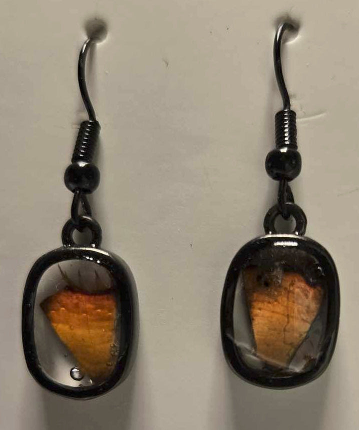 Lobster Notch Earrings