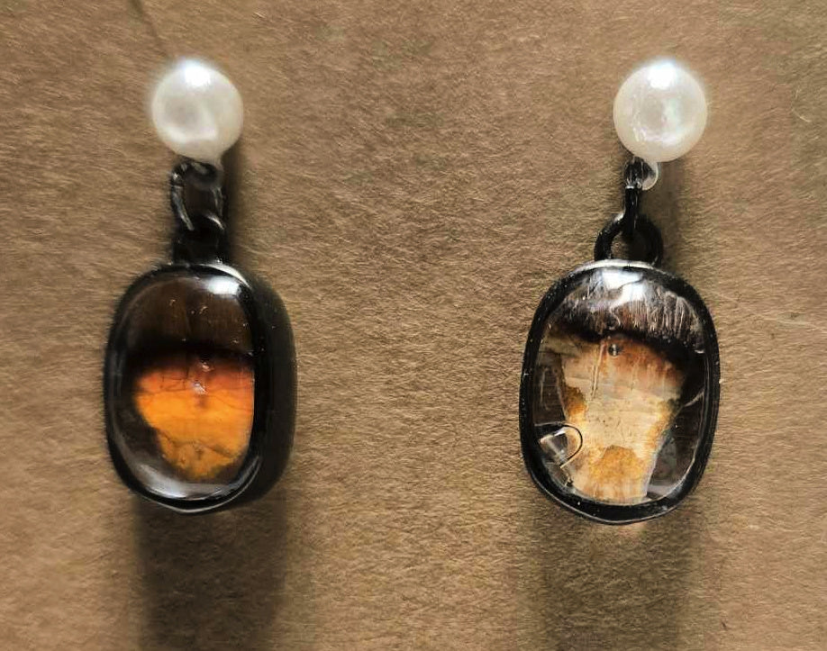 Lobster notch Earrings with pearls
