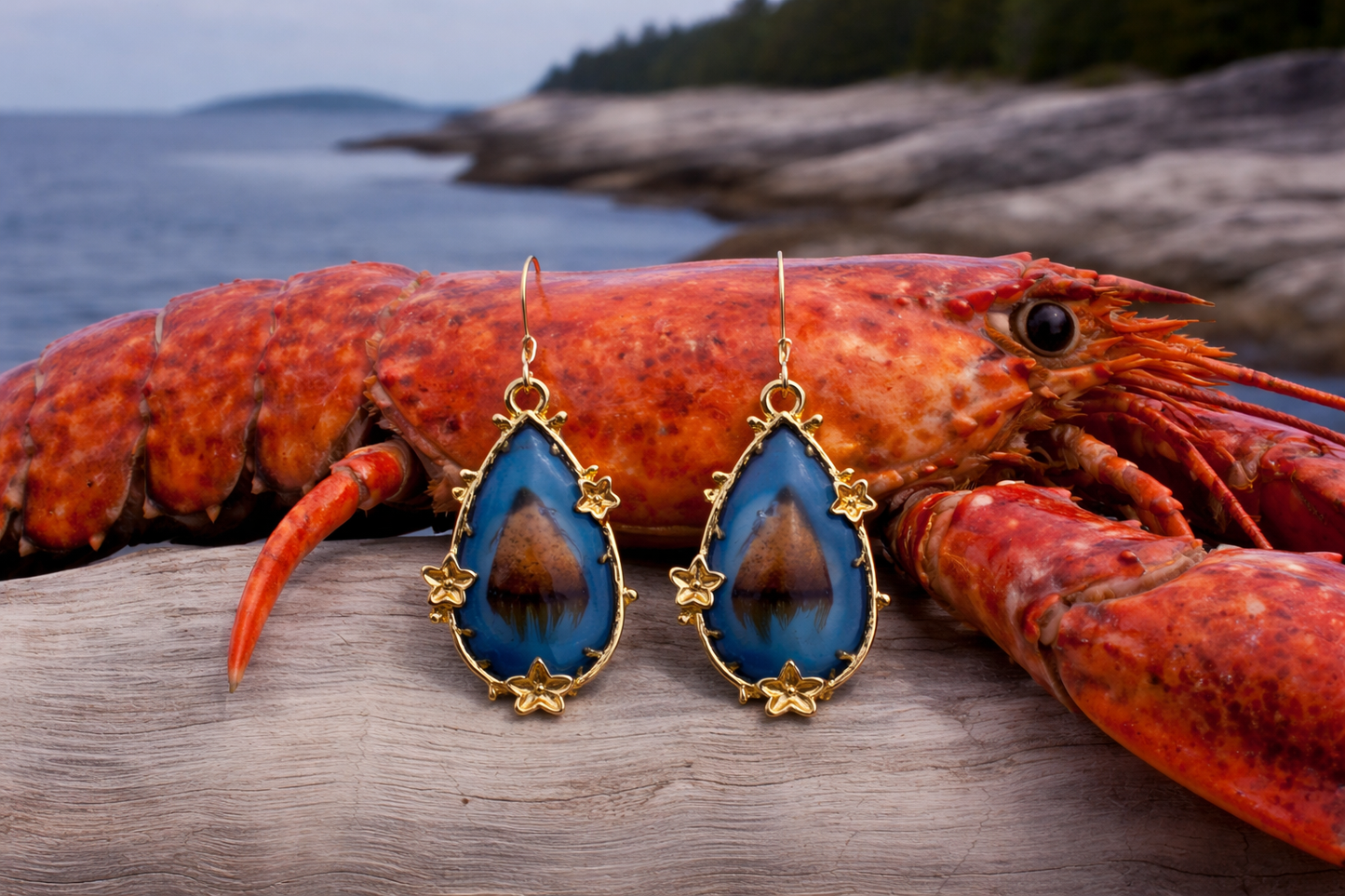 Lobster Notch Earrings
