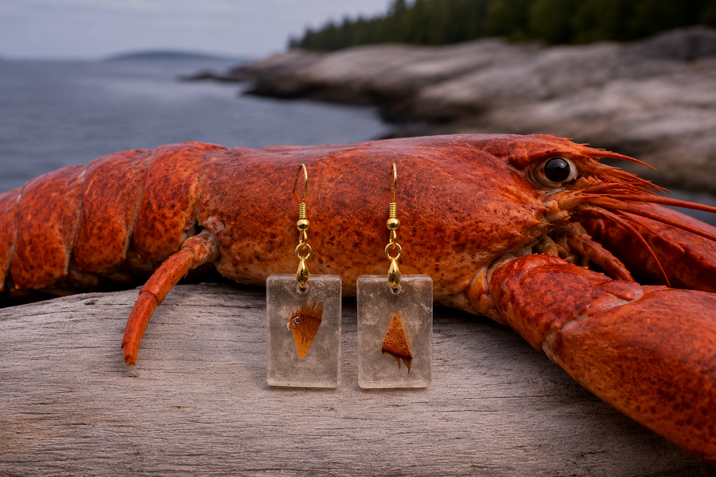 Lobster Notch Earrings