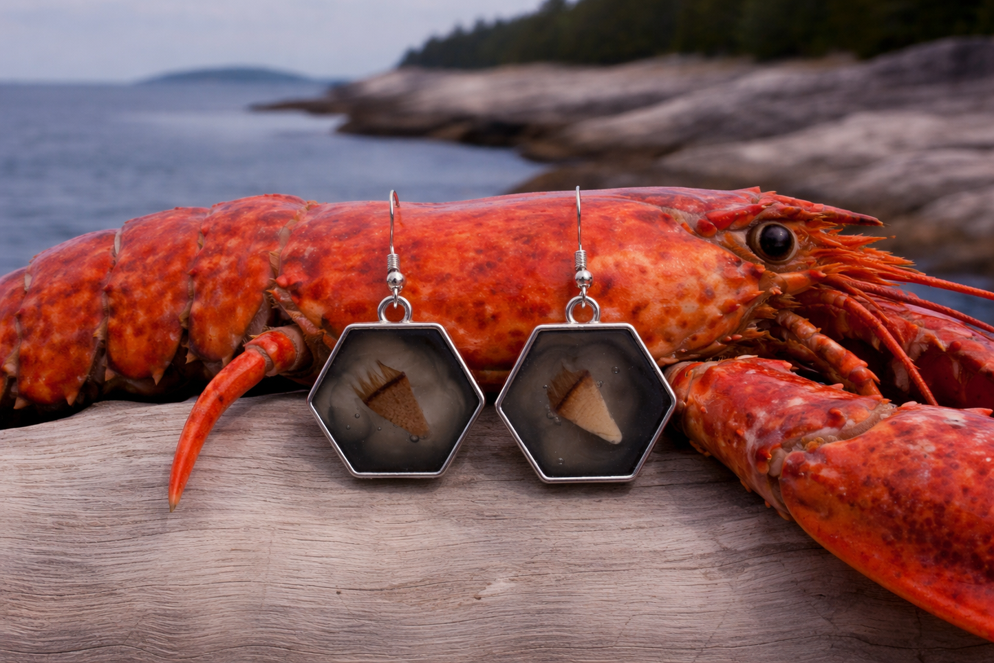 Lobster Notch Earrings in Soft Black Resin