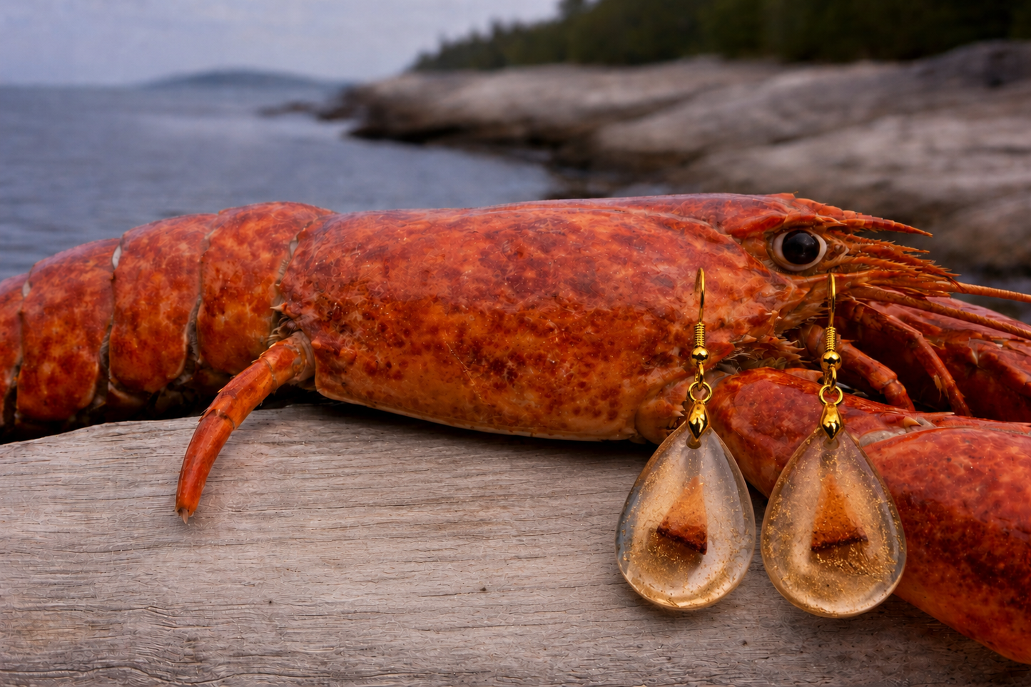 Lobster Notch Earrings