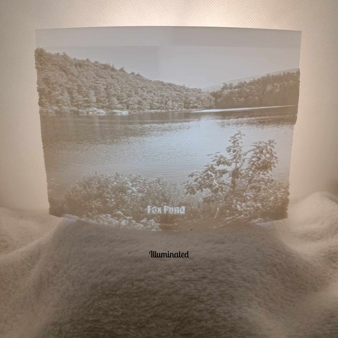 Fox Pond Lithophane Puck Light