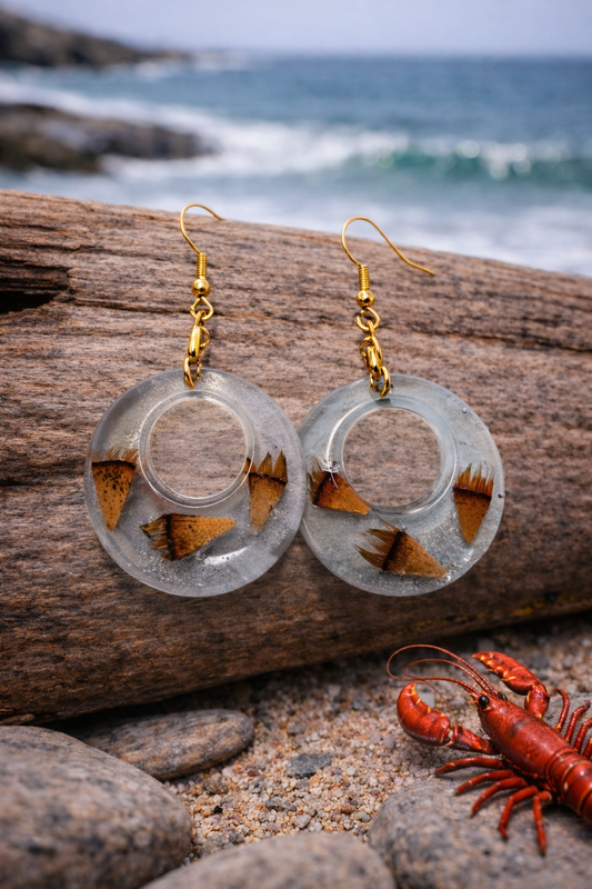 Lobster Notch earrings