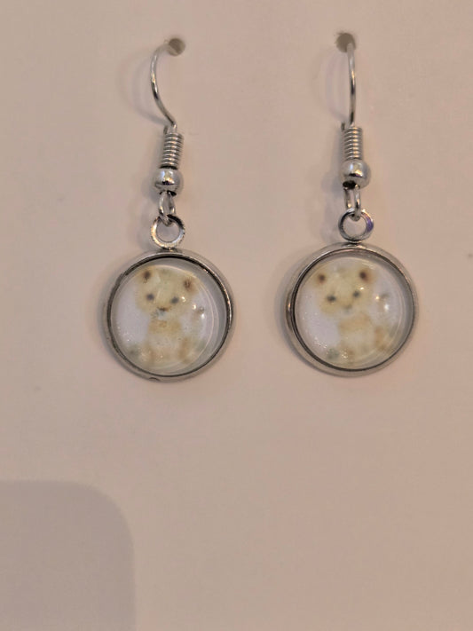 Earrings with a Baby Lion Cub