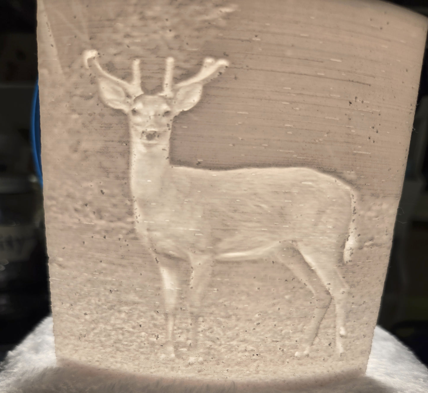 Lithophane Young Buck