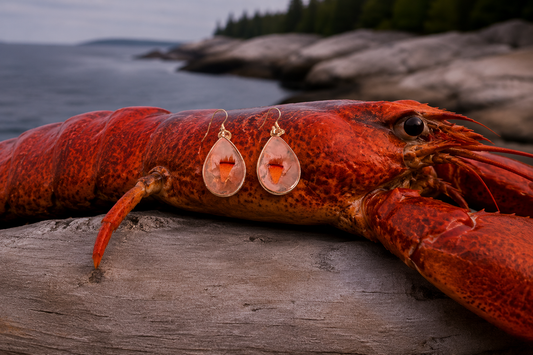 Lobster Notch Earrings