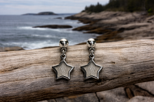 Silver sparkle Star Earrings