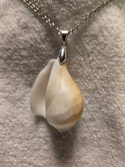 Sea Shell Necklace