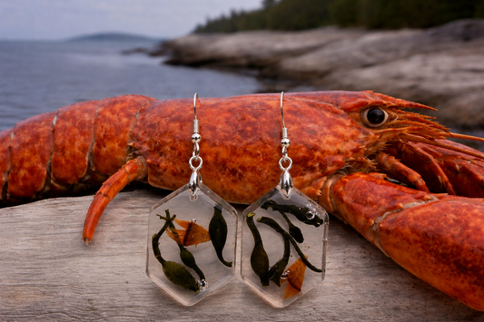 Lobster Notch Earrings with Seaweed