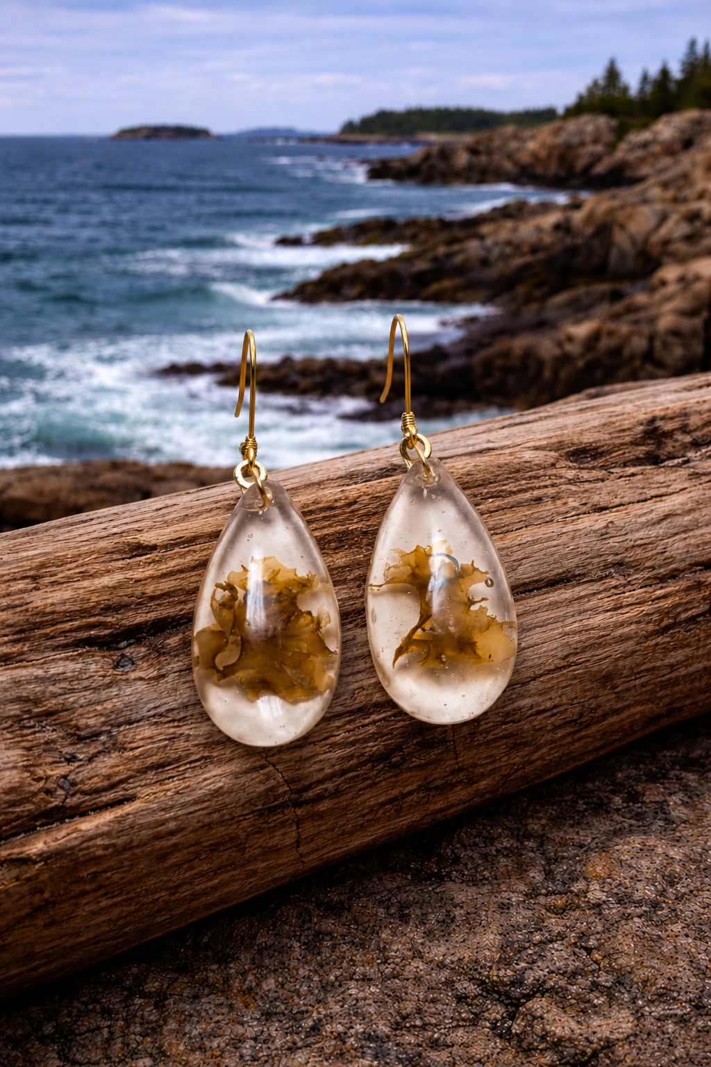 Seaweed Earrings