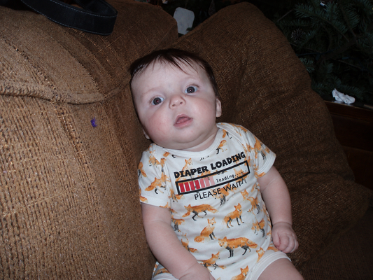 Onesie Diaper Loading