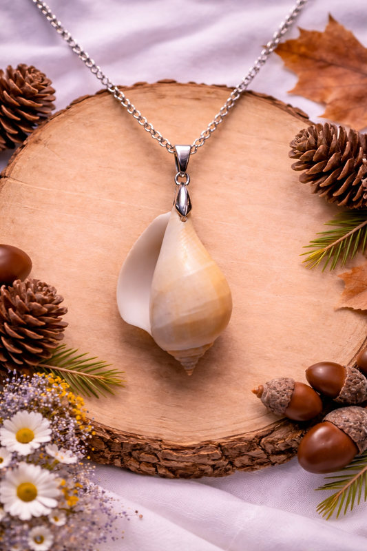 Sea Shell Necklace