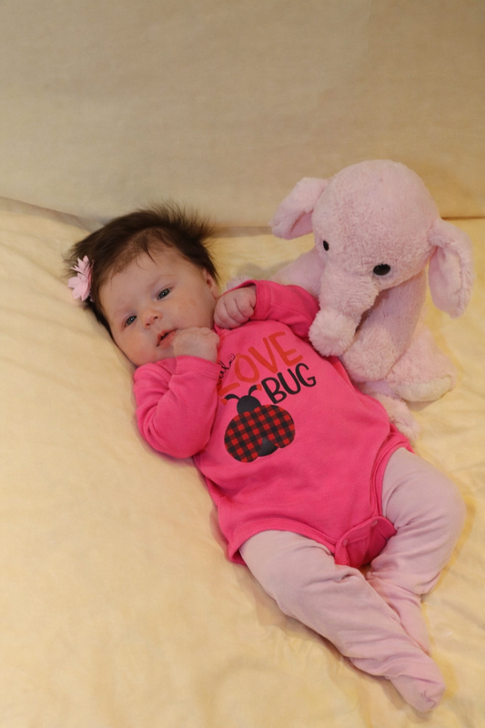Onsie Love Bug