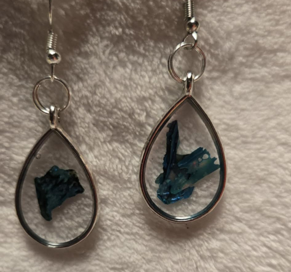 Albacore Shard Earrings