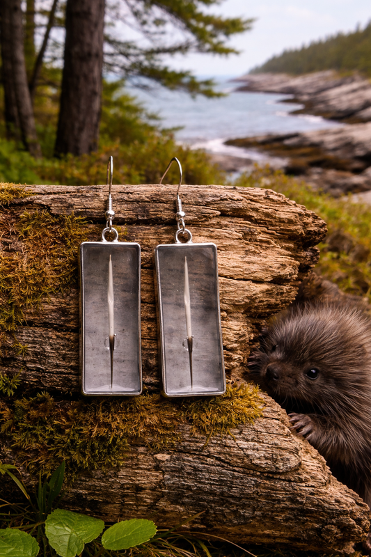 Porcupine Quill Earrings