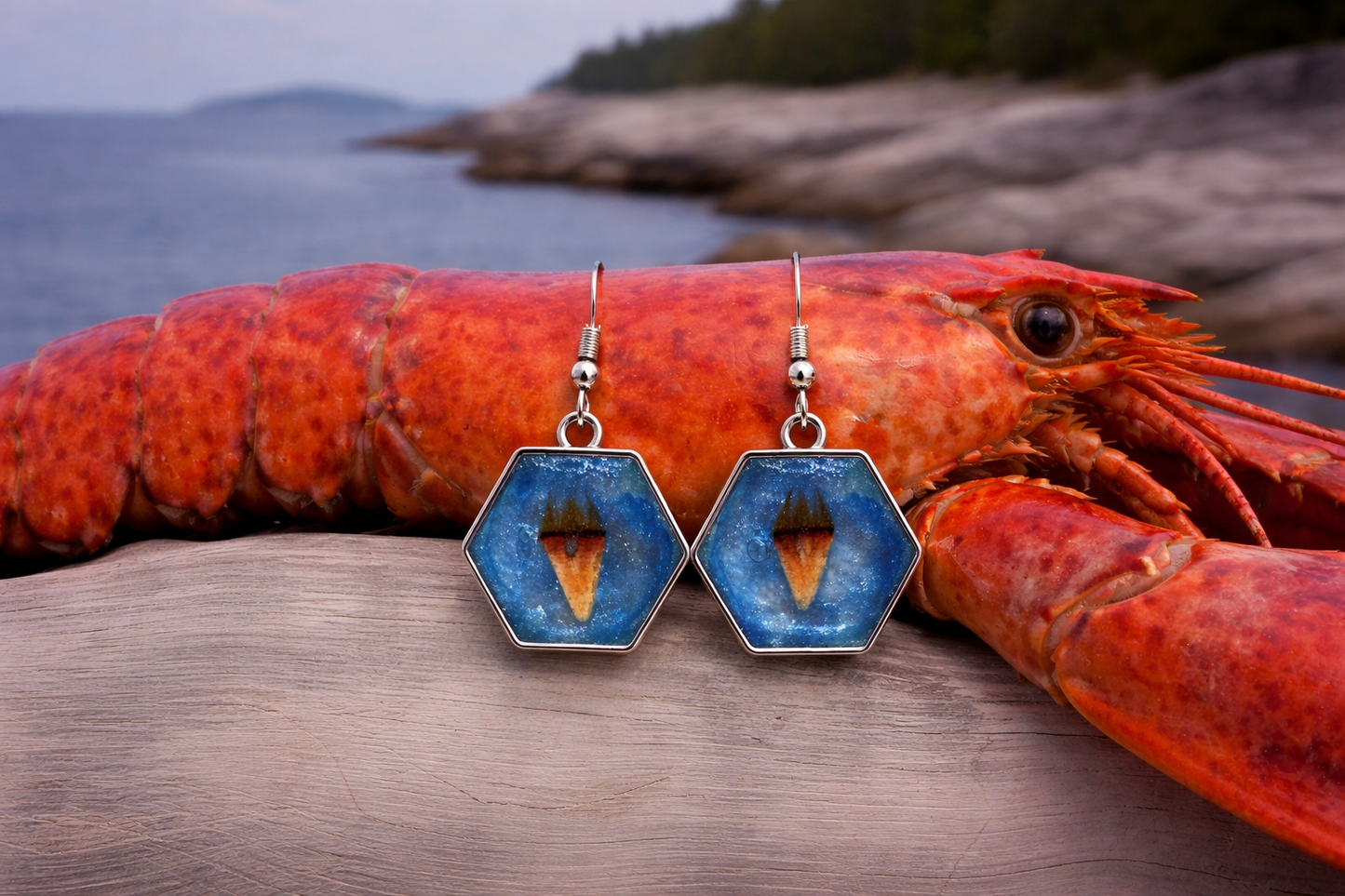 Lobster Notch Earrings