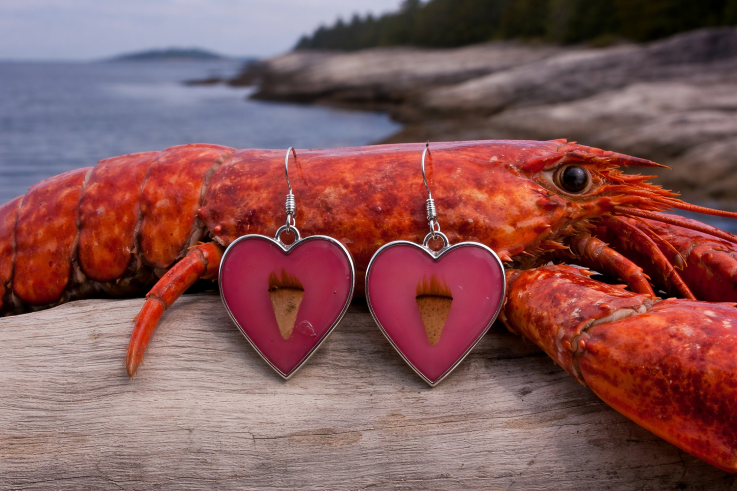 Earrings Heart with Lobster Notches