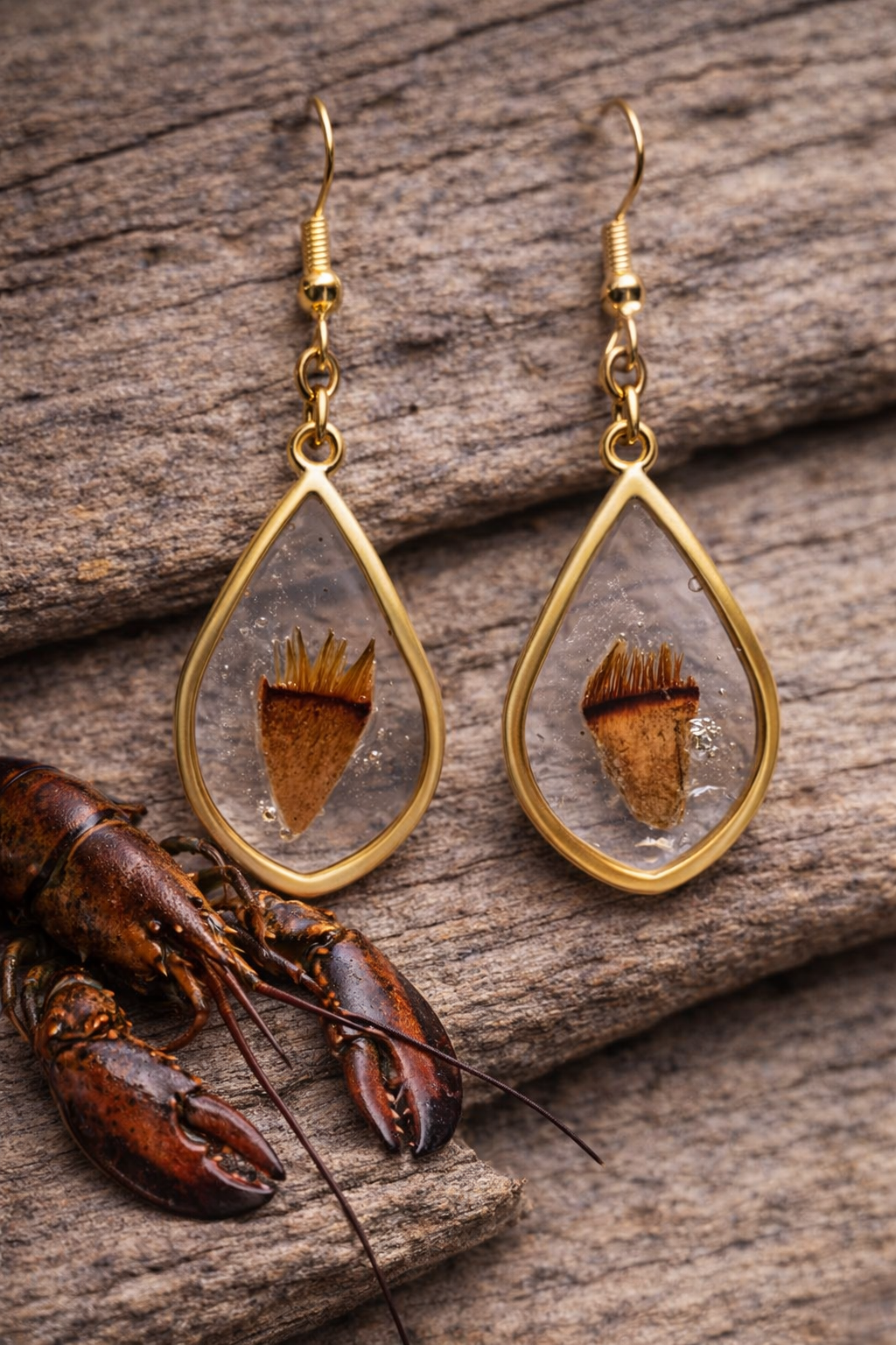 Lobster Notch Earrings
