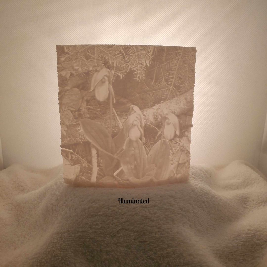 Lady Slippers Lithophane Night Light